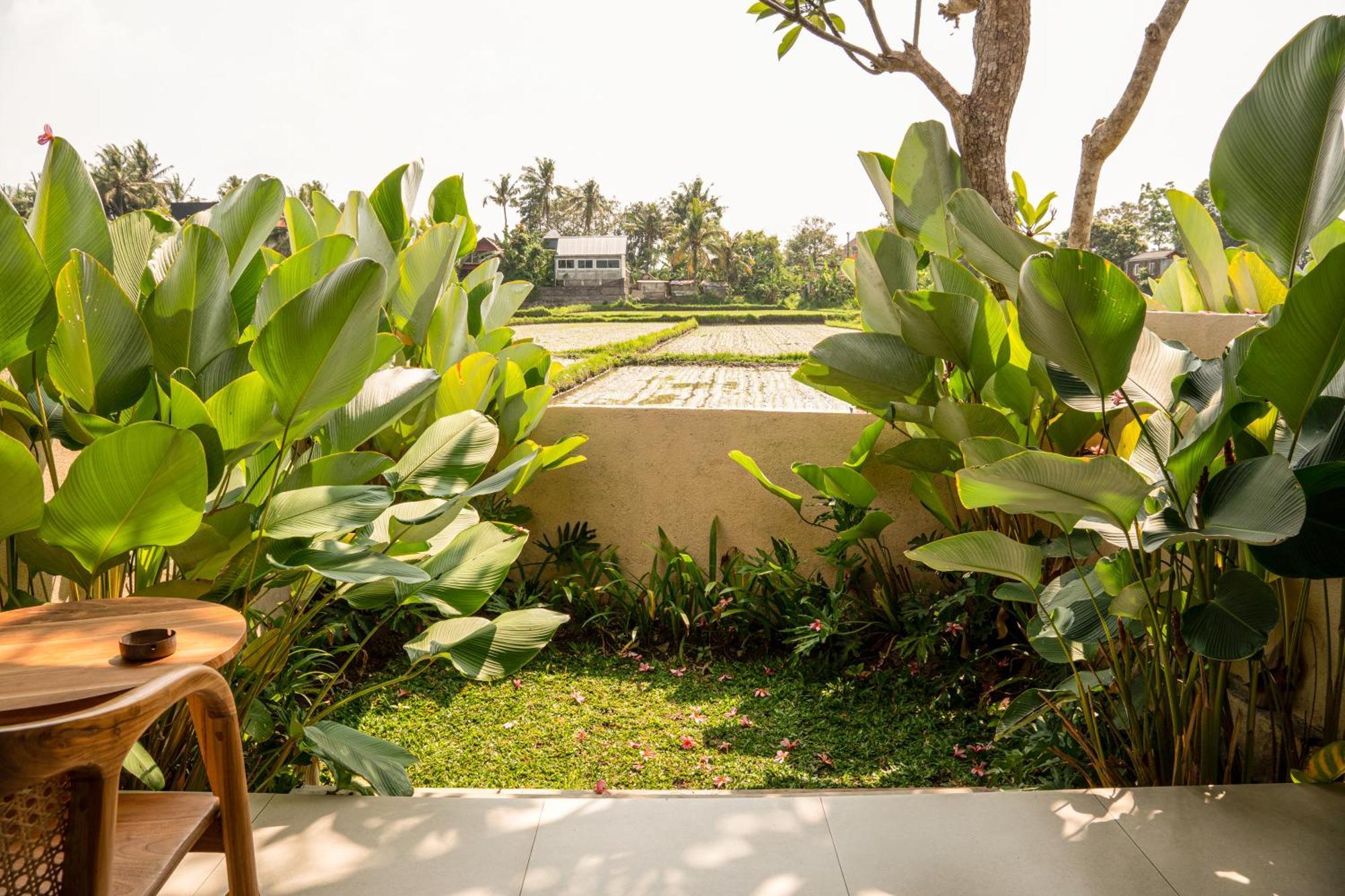 Tut Winten Villa Ubud Luaran gambar